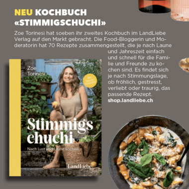 Gala-Schweiz-Stimmigschuchi